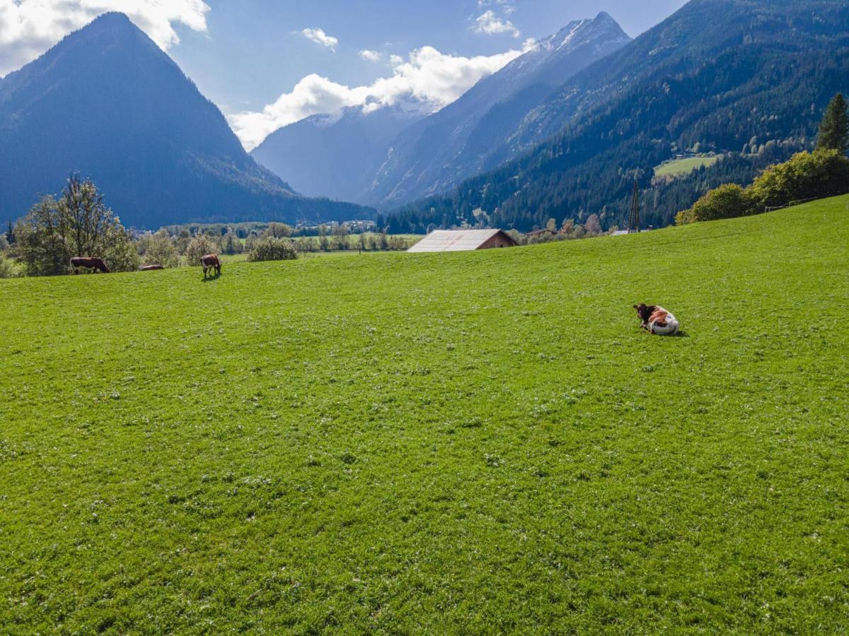Landhaus Hotter 26 Neukirchen am Großvenediger Extérieur photo